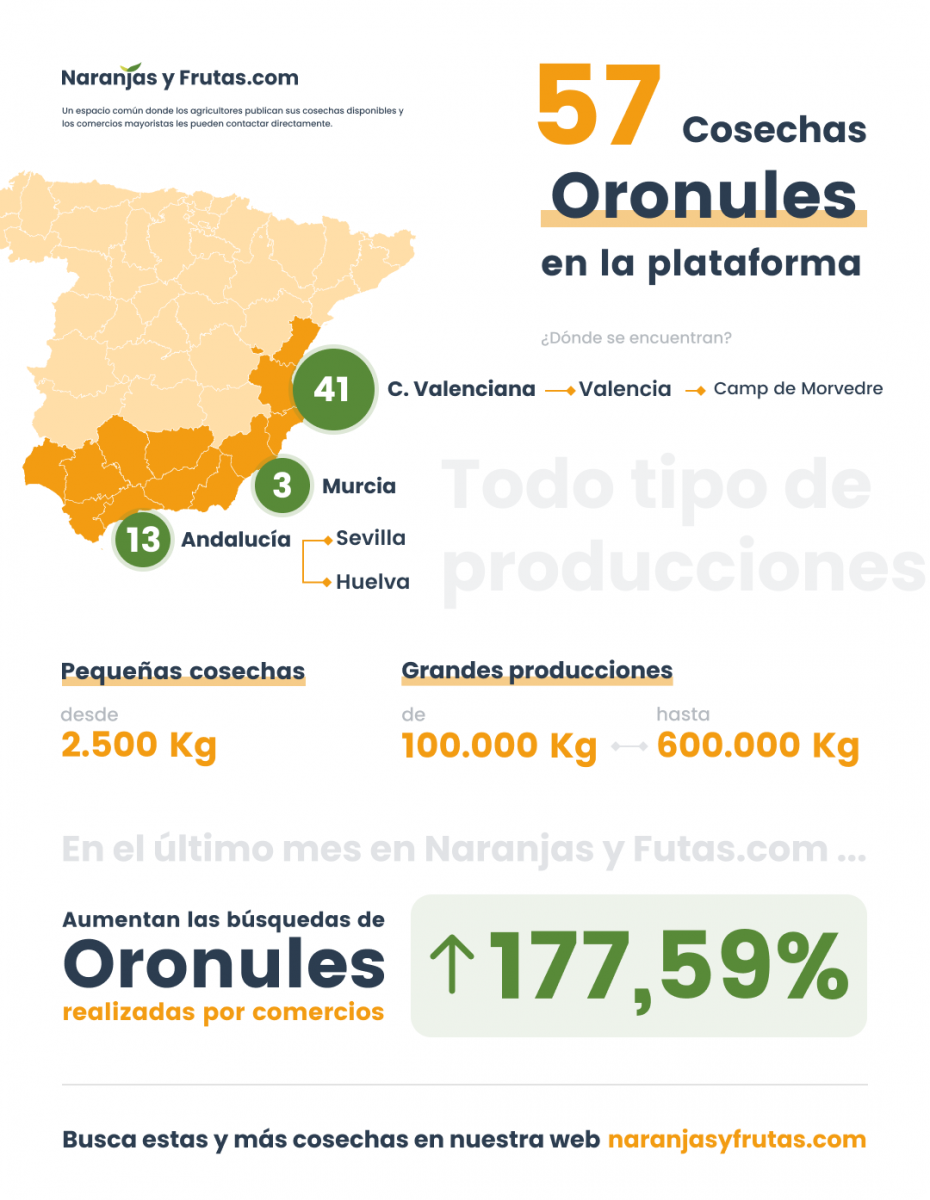 Oronules